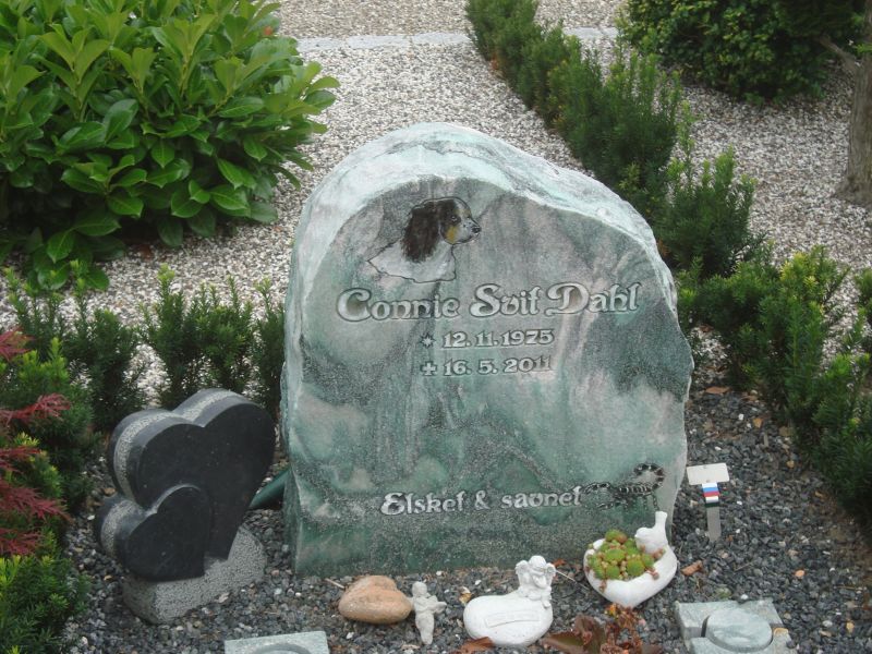 Connie Svit Dahl.JPG